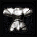 4.gif