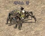 제니스퀸.jpg
