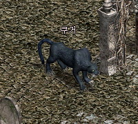 쿠거.jpg